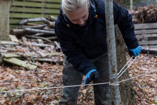 1I7A8083-scaled-600x400 1I7A8083-scaled-600x400