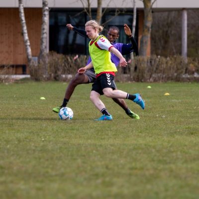 imgi_12_8-2 imgi_12_8-2